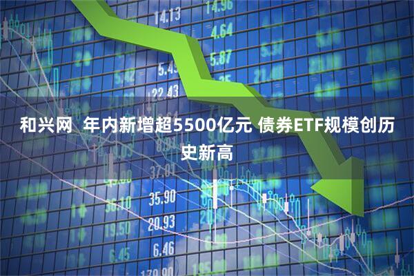 和兴网  年内新增超5500亿元 债券ETF规模创历史新高